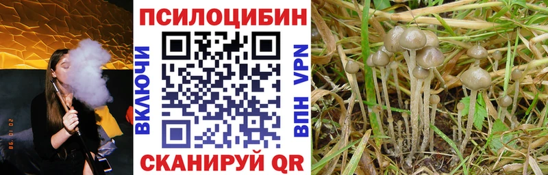 Галлюциногенные грибы Cubensis  Красноперекопск 